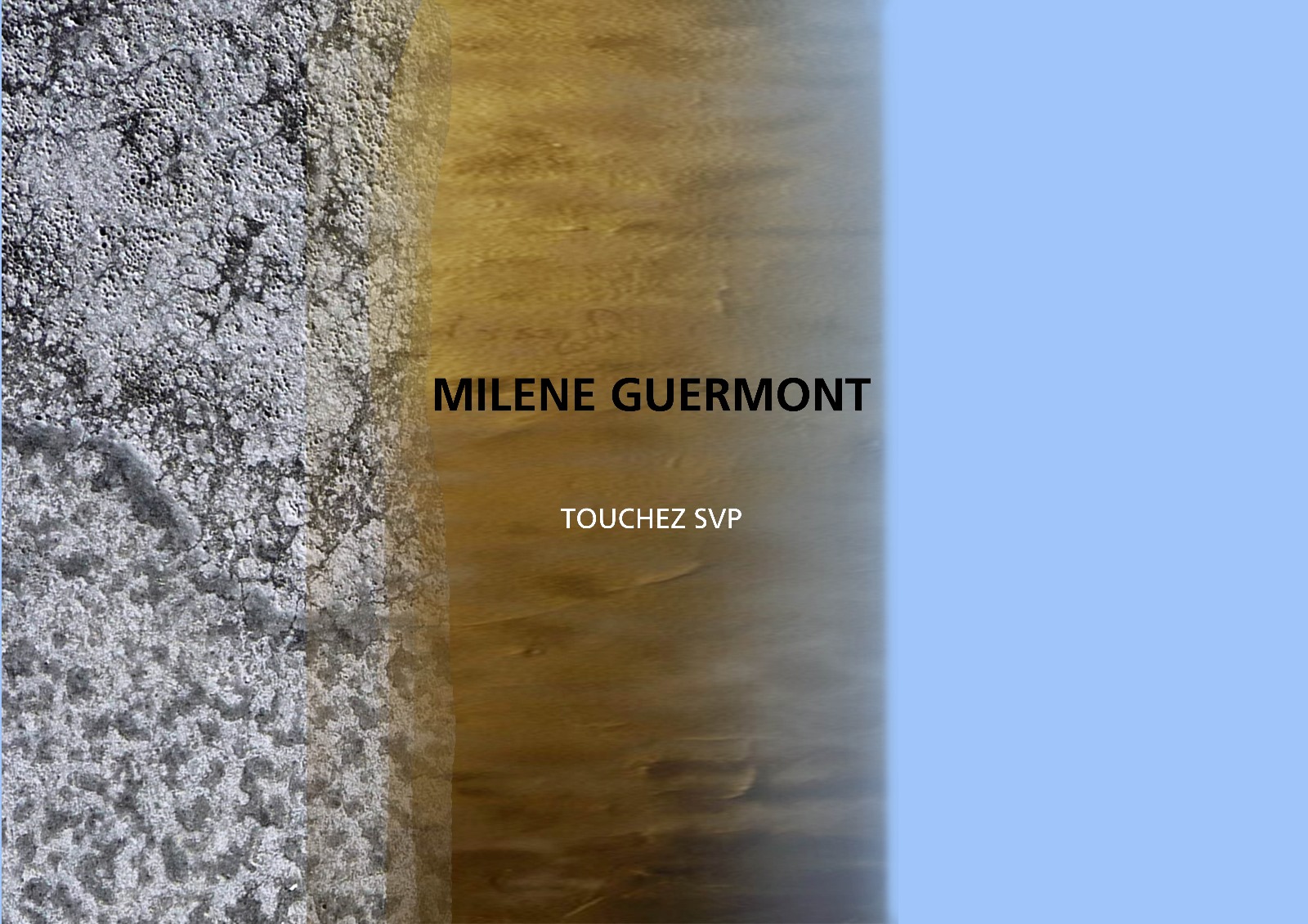 livre-objet monographie MILENE GUERMONT